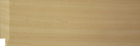 55 MM INSERT